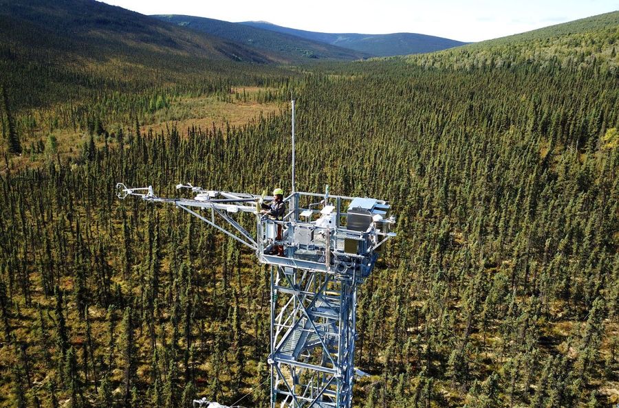 A field technician on a NEON flux tower above an Alaskan boreal forest and valley.